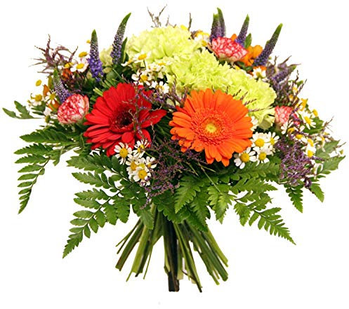 frische Blumen versenden zum Geburtstag - Lieferung in 1-2 Werktage - Blumenstrauß von Flora Trans - Farbspektrum -
