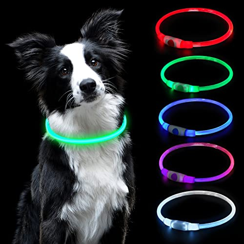 AUAUY LED Light Up Hundhalsband, Blinkhalsband För Husdjur, Usb Uppladdningsbart Vattentåligt Reflekterande Halsband För Kan Godtyckligt Skurna Halsband Passar Alla Katter Och Hundar