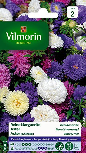 Vilmorin 5703442 Reine Marguerite, Multicolore, 90 x 2 x 160 cm