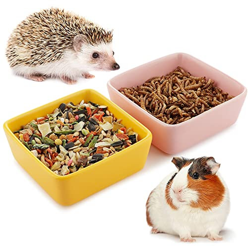 Futternapf für Meerschweinchen, Igel, Eichhörnchen, Kleintiere, Keramik, 2 Stück