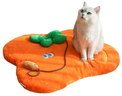 Generisch Cat Bed Mats Sleeping Place Orange Floor Mat Washable Sleeping Areas for Home Living Room Kitchen Home Daily Recreation Indoor Relaxation