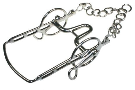 ARBO-INOX Gebisse Liverpool Kandare 12,5 cm Edelstahl