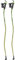 KOMPERDELL Nordic Walking-Stock grün 125