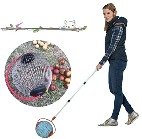 LekLai Nut Gatherer,Fruit Collector Fruit Picker Ball Picker Orchard Tool Picking Walnut Chestnut Pick-Up Device/Dahaojianguoqi/Zhengtao