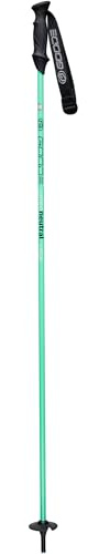 GOODE Carbon Neutral Ski Poles – Ultra-Lightweight & Durable Eco-Friendly Composite – High-Performance Shock Absorbing Downhill Ski Poles for Men & Women – 44/110cm – Sea Foam Green – Pair