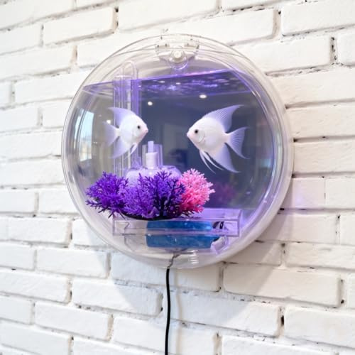 Wall Hanging Fish Bowl Wall Mounted Fish Tank with Filtering and Oxygenation for Indoor Decoration, Living Rooms, cafes, and Office