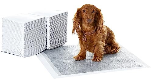 Amazon Basics Trainingspads für Hunde und Welpen mit Kohlenstoff zur Geruchskontrolle, auslaufsicheres Design mit schnell trocknender Oberfläche, Regulär(80 Stück), Grau