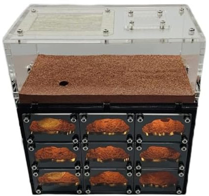 PIPONS Ameisenfarm Nistkasten, Klassische Ameisenburg Beton Ameisennest Schwarzes Loch Nest Ameisenfarm Ameisennest Farm Mit USB-Ladekabel Ameisenhaus