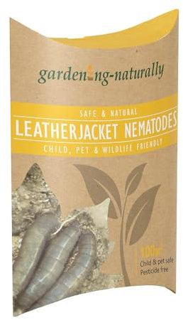 Leatherjacket Nematodes Natural Organic Pest Control Treats 100sqm