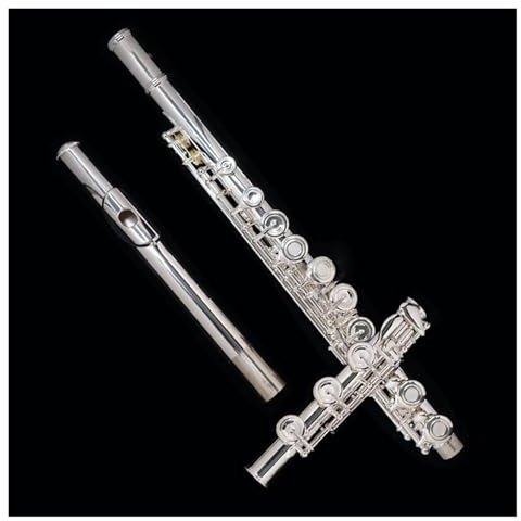 tvärflöjt instrument Professionellt flöjtinstrument C-nyckelflöjt 17 håls nybörjarflöjt