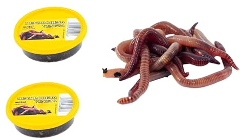 Reptiles, Pájaros, Dendrobena, Gusanos Rojos de Tamaño Mediano - 50 Piezas, 2 Cajas de Alimentos Vivos - Cebos de Pesca, Comida para Mascotas y Reptiles