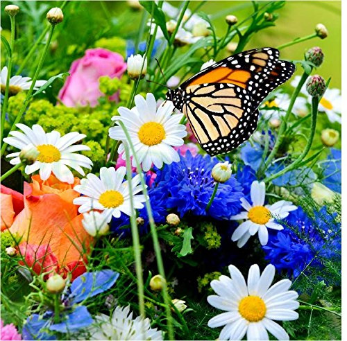 Sticker Boite aux lettres Fleur Papillon 30X30cm SABL014
