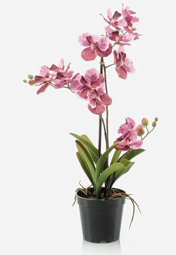 artplants.de Orchidea Vanda Artificiale Campo, Rosa-Fuchsia, 60cm - Orchidea Finta - Fiore di Seta