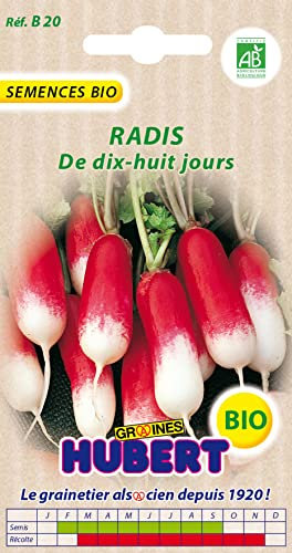 Graines de Radis de Dix-Huit Jours BIO - 7 grammes