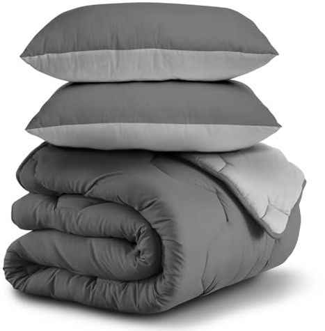 IDMarket - Couette 220x240 CM Abby Bicolore Gris Clair et Gris 300 GR + 2 oreillers