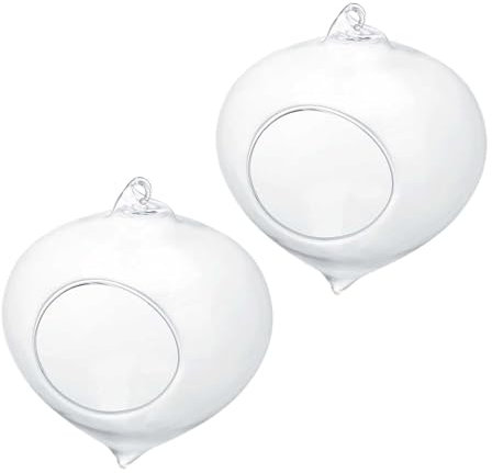 Jwthee 2 pièces jardinière de terrariums en Verre à Suspendre au Mur, récipient de terrariums jardinière de Fleurs Pot de Fleurs en Verre Suspendu récipient de Plante succulente Vase en