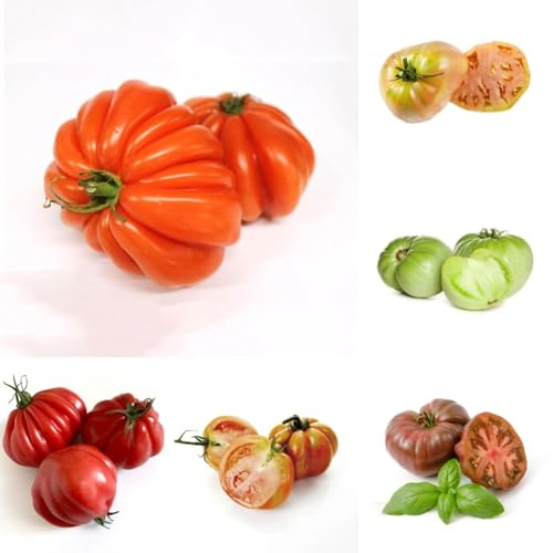 Semi di pomodoro bistecca, biologici Pomodoro bistecca, vecchie varietà rari giardino balcone semi di pomodoro cuore di bue 100pcs