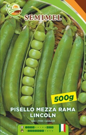 Pisello Mezza Rama Lincoln - Legume Medio-Tardivo, Baccelli Verdi e Rugosi, 500g di Semi 1 confezione