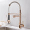 EGTink Wasserhahn Küche Küchenarmatur mit Brause 360° Schwenkbar Mischbatterie Spiralfeder Armatur Spültischarmatur Spiralfederarmatur, Roségold