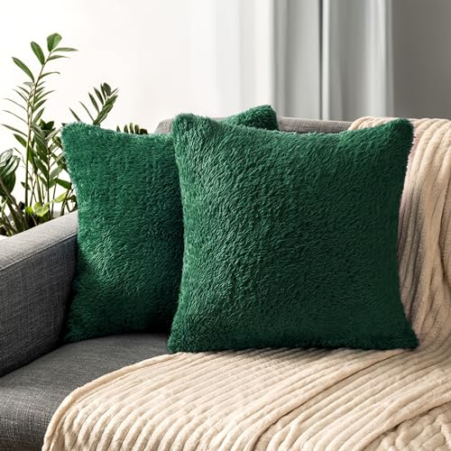 PAVILIA Set di 2 federe decorative per cuscini soffici color verde smeraldo, per letto, divano, in morbida pelliccia sintetica, federe quadrate Sherpa, decorazione per la casa, verde, 20 x 20 cm