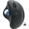 Ergo M575 Wireless Trackball (Black)