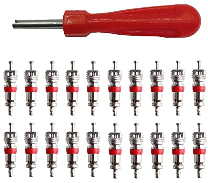 Removedor de Núcleo de Válvula de Neumático,Herramientas de Reparación de Válvula Herramienta de Extracción de Núcleo con 20 Núcleos de Nálvula Kit de Reparación de neumáticos para Coche Bicicleta