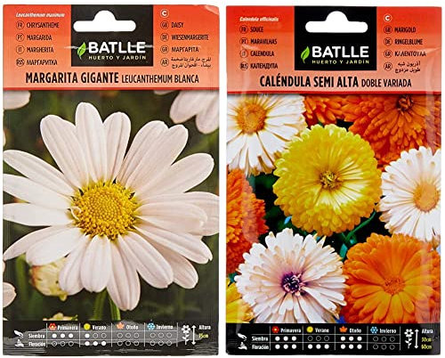 Marg. Gigante blanca Leucantemum & Caléndula semi alta doble variada