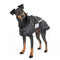 BOT Hundemantel 74cm sw