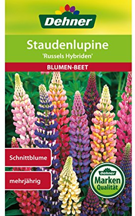 Dehner blomfrön, perenn lupin Russels hybrider, 5-pack (5 x 2 g)
