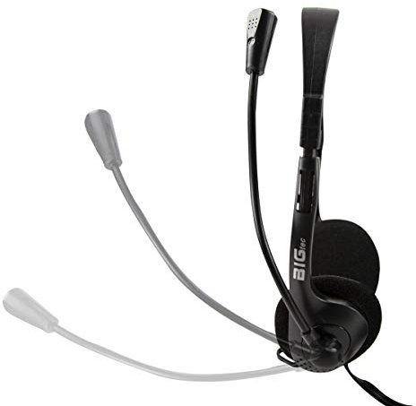 BIGtec Auriculares con micrófono estéreo, 2 clavijas jack de 3,5 mm, ligeros, ajustables, brazo flexible micro, control de volumen, cable de 1,8 m, PC, ordenador portátil, gaming, oficina en casa