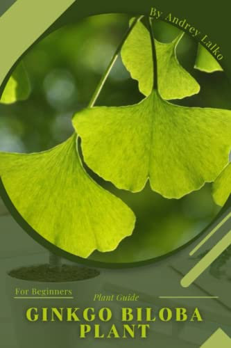 Ginkgo biloba plant: Plant Guide