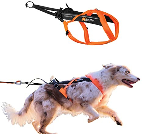 Non-stop dogwear Freemotion Harness 5.0 Dog Pulling Harness for Sports Like Running, Biking and Skiing with Dogs, Professional Adjustable Dog Harness, Orange/Black, Size 6