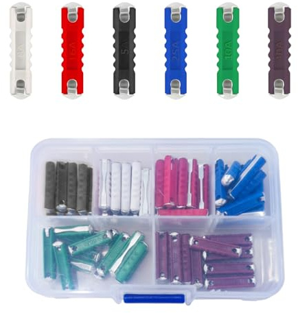 Nujvnuj Set di 60 fusibili siluro 5A-40A per veicoli europei e auto d'epoca, set completo di fusibili per auto (6 valori diversi)