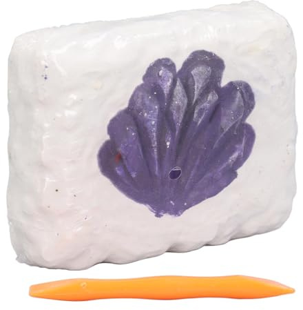 OVAQUIXI Stone Excavation Set, Educational Stone Excavation Set for, Promotes Critical Thinking and Problem Solving Skills (Type 1 for Above 6 Years Old)