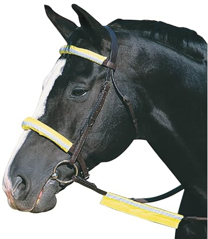 Roma Reflective Bridle Kit, Yellow, One Size