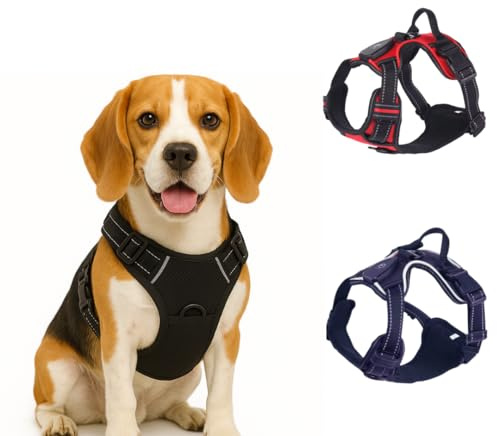 Pinkrrot. Arnés para Perros. Arnés Reflectante, Luminoso con luz LED Recargable USB-C, Antitirones, Ajustable, Impermeable y Ergonómico, Ideal para Paseos Seguros de día y Noche. (Rojo, L)