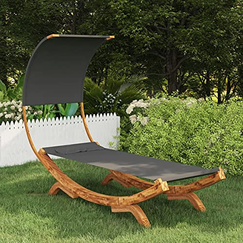 Tidyard Hängematte mit Dach, Hängeliege, Gartenliege Sonnenliege Liege Hängemattengestell Outdoor Garten Terrasse Fichtenholz Massiv Anthrazit 100x216x162cm