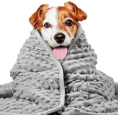 LaSyL Weighted Blanket for Pets | Thunder Blanket for Dogs Anxiety | Premium Soft Minky | Relaxation & Calming & Anti Anxiety | Used in Car, Bed, Couch | Dark Grey, Washable Medium 32 L x 40 W