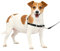 PetSafe Easy Walk-Geschirr, Anti-Zieh-Hundegeschirr, Verringert Würgen und Husten, Mit 1,8 M Leine, Größe S, Schwarz