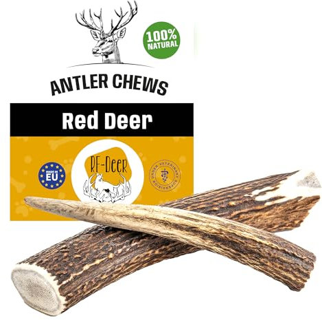 RF - Deer Hundeknochen Hundesnack Rothirsch Geweih Kausnack, Hirschgeweih für Hunde, 100% natürlicher, Gesunder Hundespielzeug, Kauknochen für Genuss und Zahnpflege (L, Hard - 1 Stück)