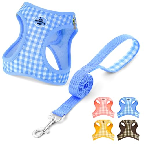 OFFCUP Pettorina per Cani Gatti con Guinzaglio Set Traspirante Imbracatura in Air Mesh per Cani Piccoli Pettorina Step-in Regolabile Riflettente Morbida Imbottito Anti-Strappo, Blu, M