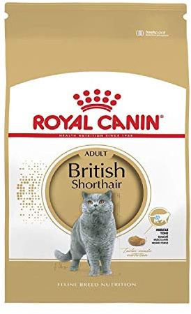 Royal Canin Feline British Shorthair, 1er Pack (1 x 2 kg Beutel) - Katzenfutter