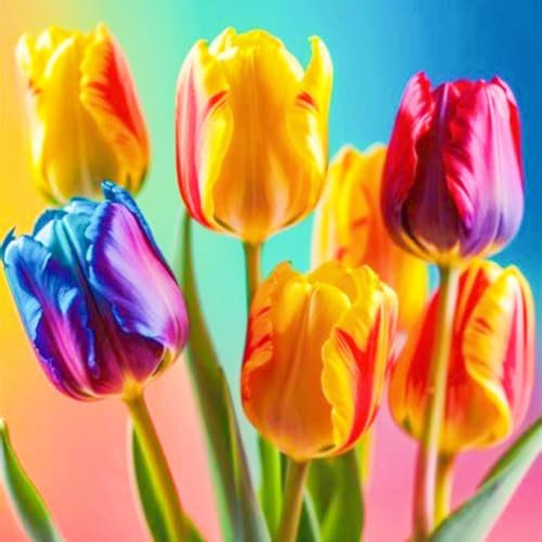 Tulpenzwiebeln Winterhart Tulpen Zwiebeln Mix Tulpenzwiebeln Winterhart,Gärten Geschenk-10zwiebeln-a