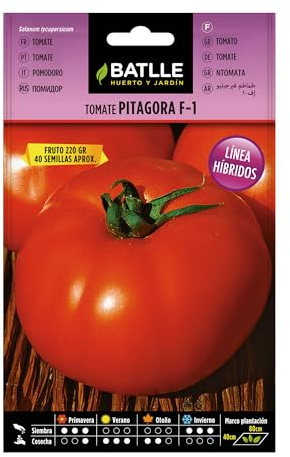 Semillas Hortícolas Híbridas - Tomate Virgilio F-1 - Batlle
