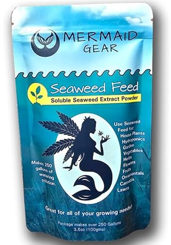 Mermaid Gear Seaweed Feed Kelp Powdered Fertilizer, 3.5oz (100g) – Organic Ascophyllum Nodosum for Hydroponic & Soil, Lawn, Flowers, Vegetables, Fruit Trees & Houseplants