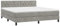 vidaXL Boxspringbett mit Matratze Doppelbett Bett Polsterbett Hotelbett Bettrahmen Bettgestell Lattenrost Schlafzimmerbett Hellgrau 160x200cm Samt