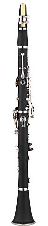 Btuty Clarinet ABS 17 Key bB Flat Soprano Binocular Clarinet with Cleaning Cloth Gloves 10 Reeds Screwdriver Reed Case Woodwind Instrument