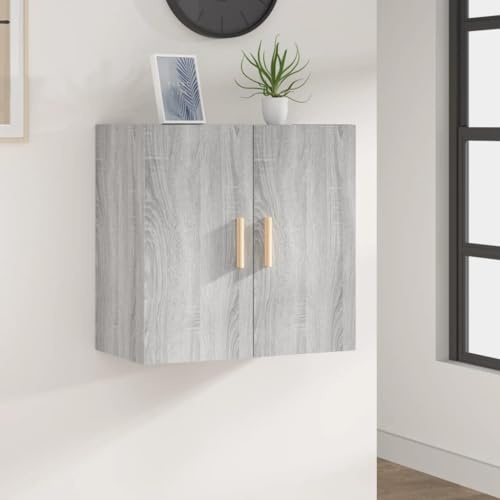 Boltkex Armoire murale grise Sonoma - 60 x 30 x 60 cm - Avec espace de rangement et casier - Pour salon, chambre à coucher, bureau, couloir, armoire multifonction pour ranger et ranger