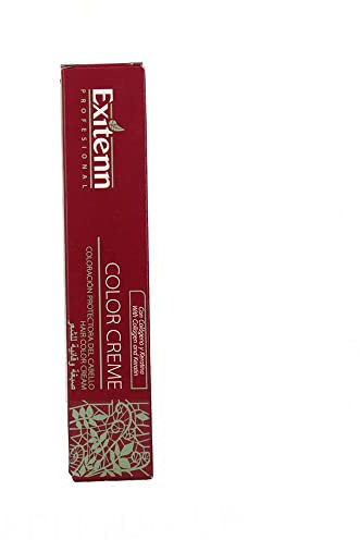Exitenn color cream 60 ml, color 573 brown clear cinnamon