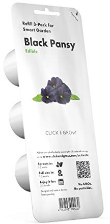 Click and Grow Lot de 3 gousses de pensées noires pour jardin intelligent